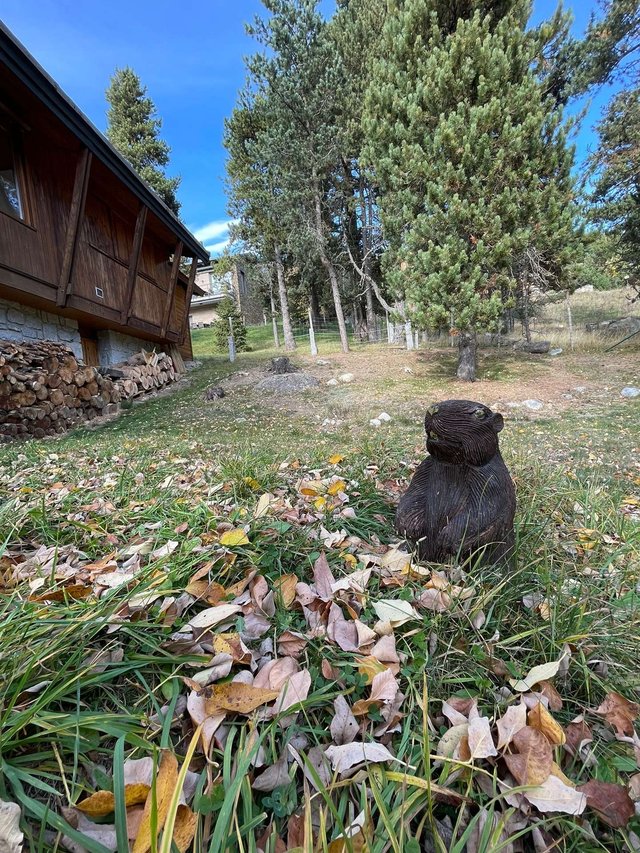Chalet  LS323 - Font Romeu - Pyrénées 2000