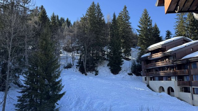 Appartement Sapiniere SAP10TRU - Valmorel
