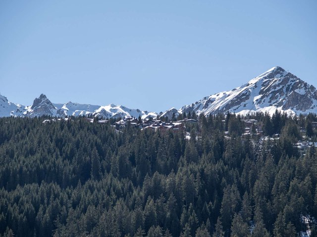 Résidence Ourse Bleue - Courchevel 1650