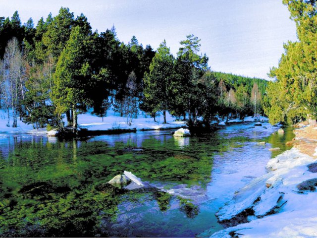 Résidence CARLINES I - Font Romeu - Pyrénées 2000