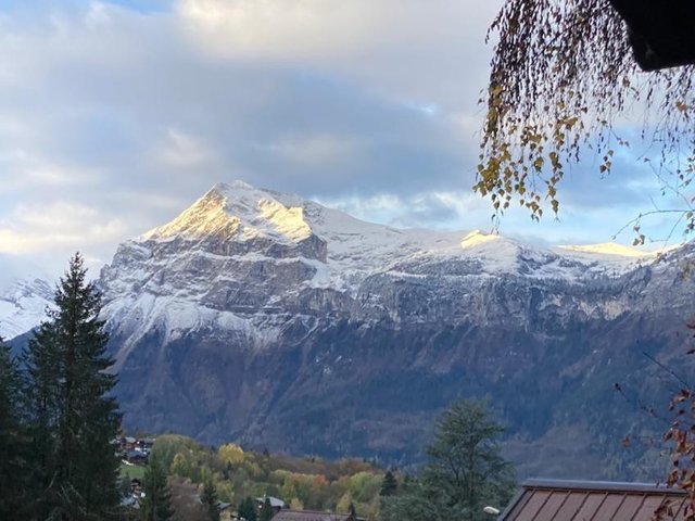 Chalet 8 pièces 14 personnes avec balcon - Les Carroz d'Araches