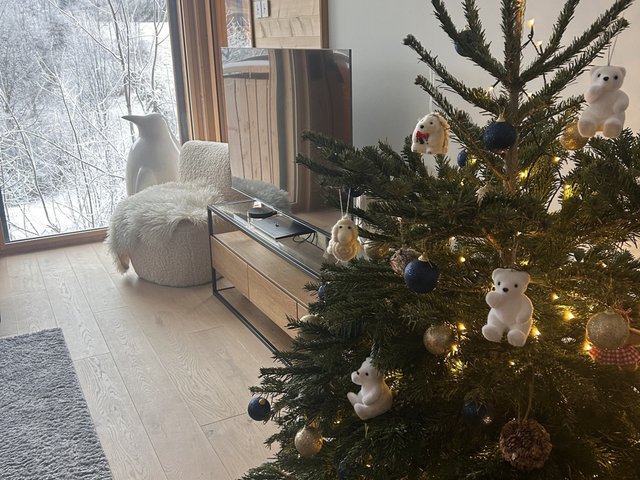 Appartement 5 pièces 8 personnes avec balcon - Les Carroz d'Araches