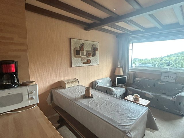 Appartement 3 pièces 5 personnes avec balcon - Super-Besse