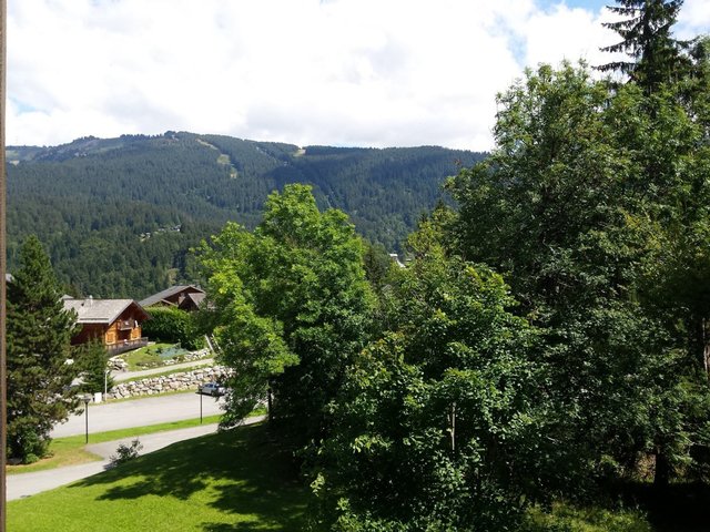 Appartement 2 pièces 6 personnes avec balcon - Les Carroz d'Araches