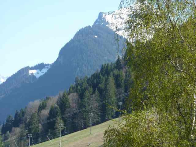 Résidence LE PLENEY - Morzine