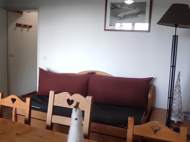 Appartement 3 pièces 5 personnes avec balcon - Super-Besse