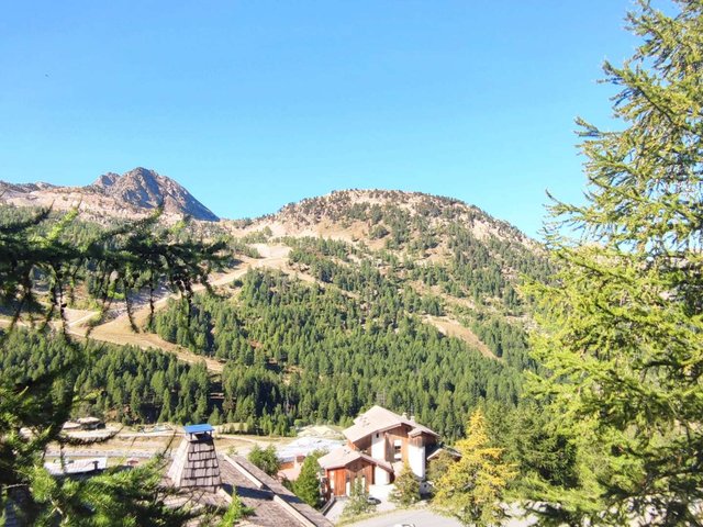 CHALET MERCANTOUR 31 - Isola 2000