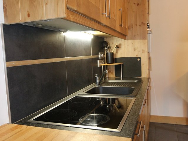 Appartement 3 pièces 5 personnes avec terrasse - Les Carroz d'Araches