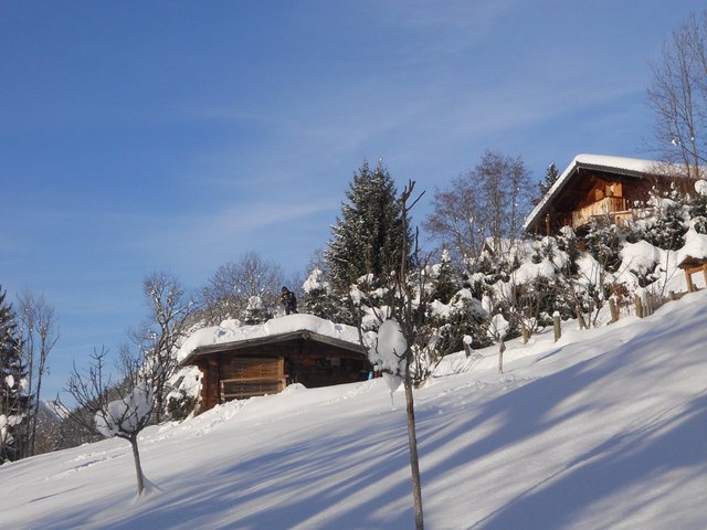 Chalet 3 pièces 6 personnes avec terrasse - Les Carroz d'Araches