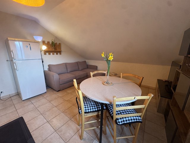 Appartement 3 pièces 4 personnes avec terrasse - Les Carroz d'Araches