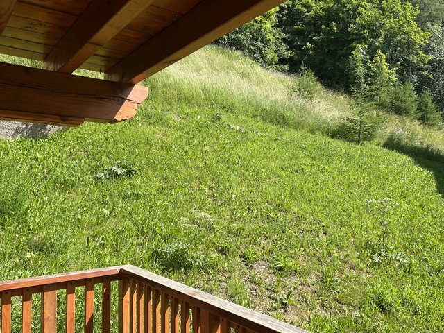 Résidence CAMPANULE - Valloire