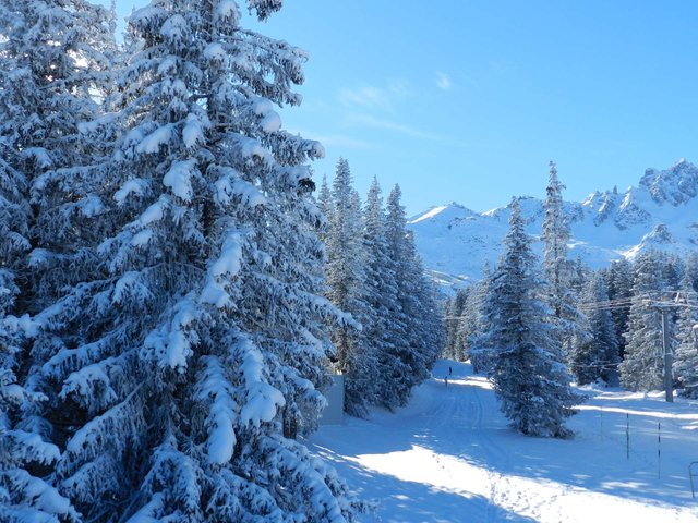 Résidence BOIS JOLI - Courchevel 1550
