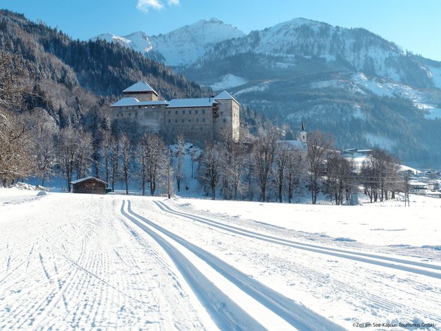 Appartement de particulier 3_SPA Deluxe Garden 414 - Zell am See