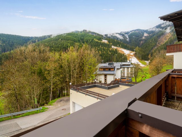 Appartement Holger - Zell am See