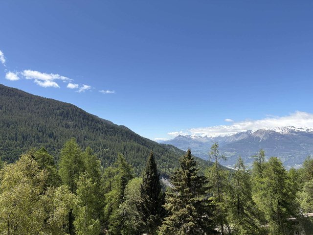 Appartement Le Cairn 279 - Les Orres