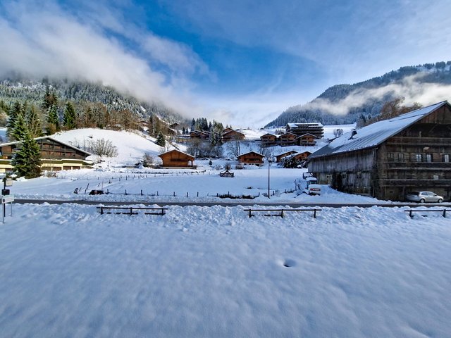 Appartement Perce Neige PNC20 NATURE & FAMILY 4 pers. - Châtel