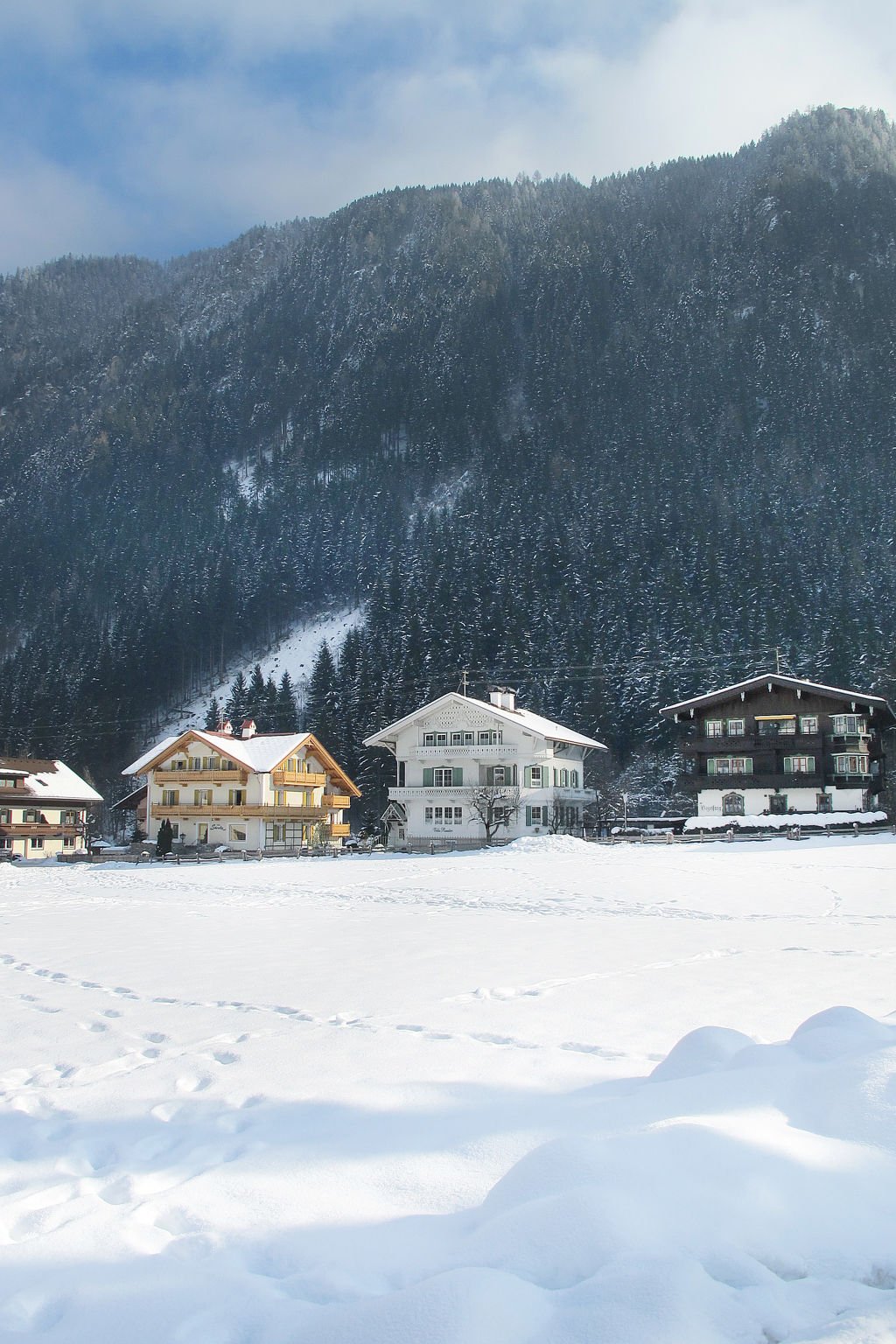 Appartement Rauter