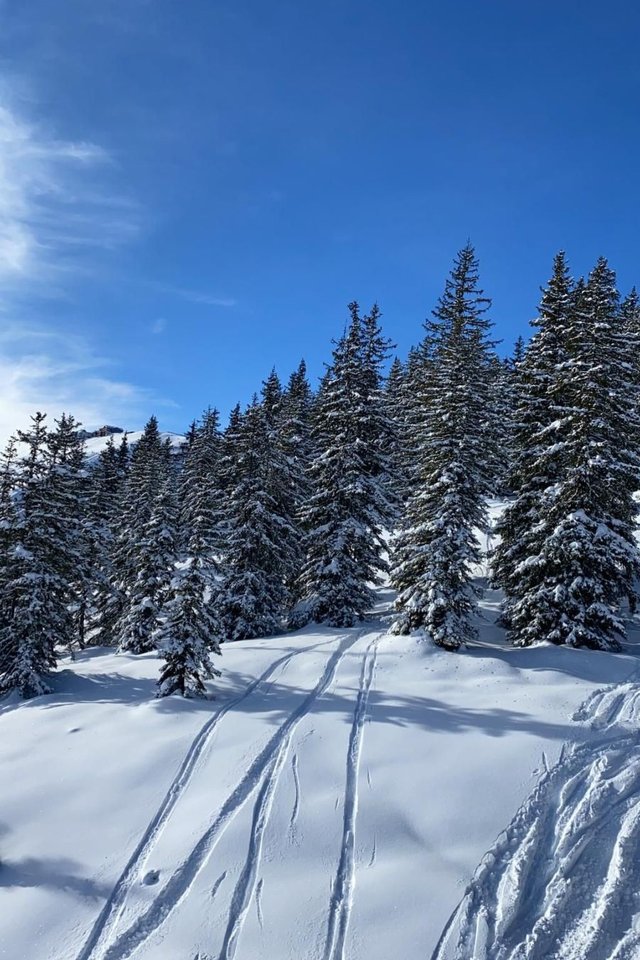 Appartement Alpinresort Kaprun top 2 - Kaprun