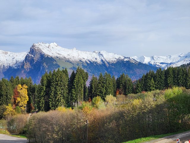 Studio Grand Horizon 1 N°113 - ST4 - Morillon 1100 Les Esserts