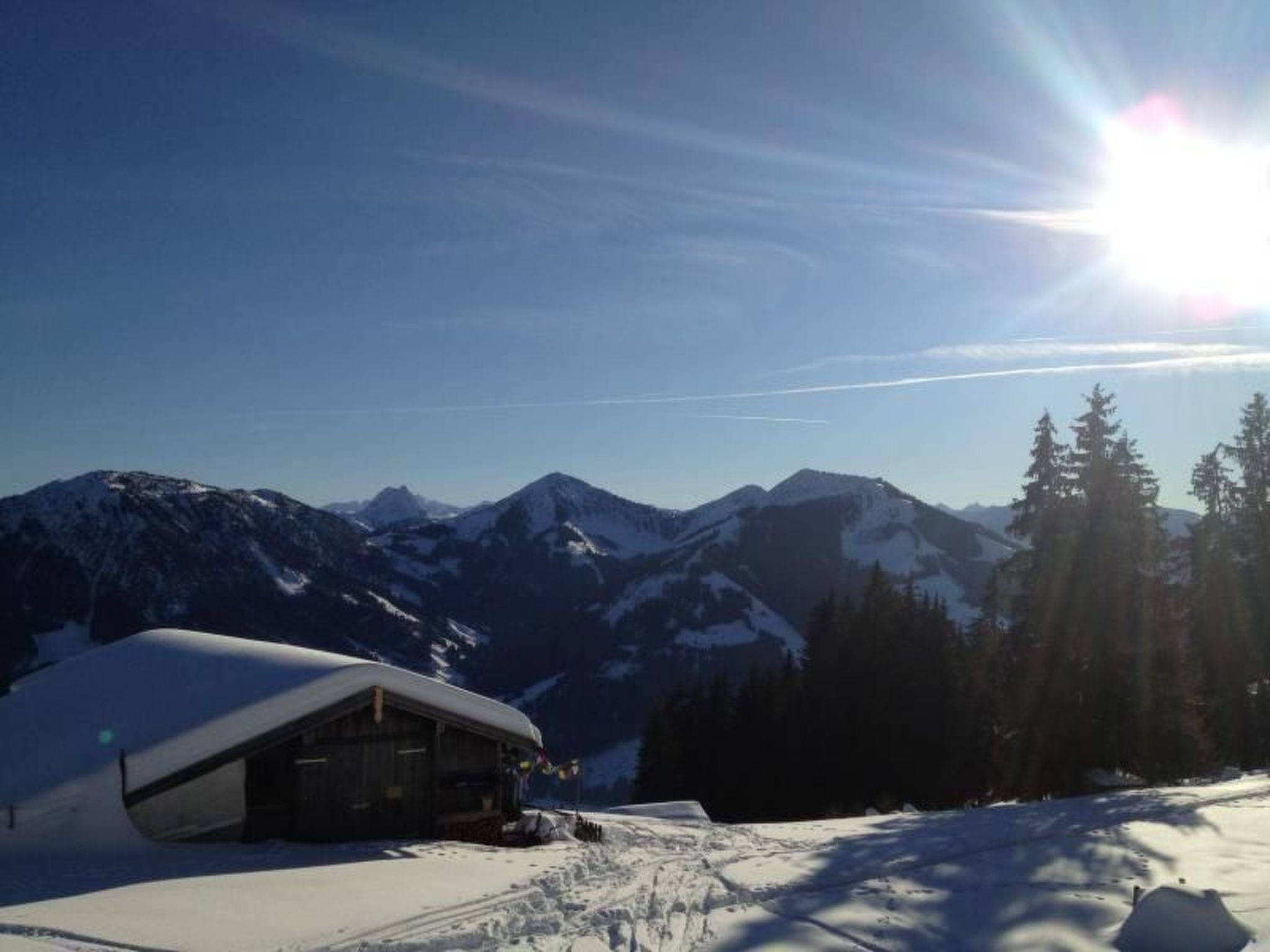 Appartement Alpine Lodge