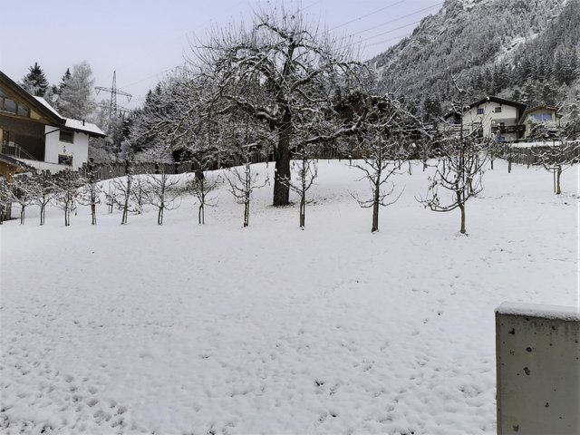 Appartement Sandra Falch - Sankt Anton am Arlberg