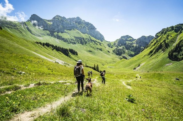 Studio Hameau des 4 Saisons HSA14 MOUNTAIN & SUN 4 Pers - Châtel