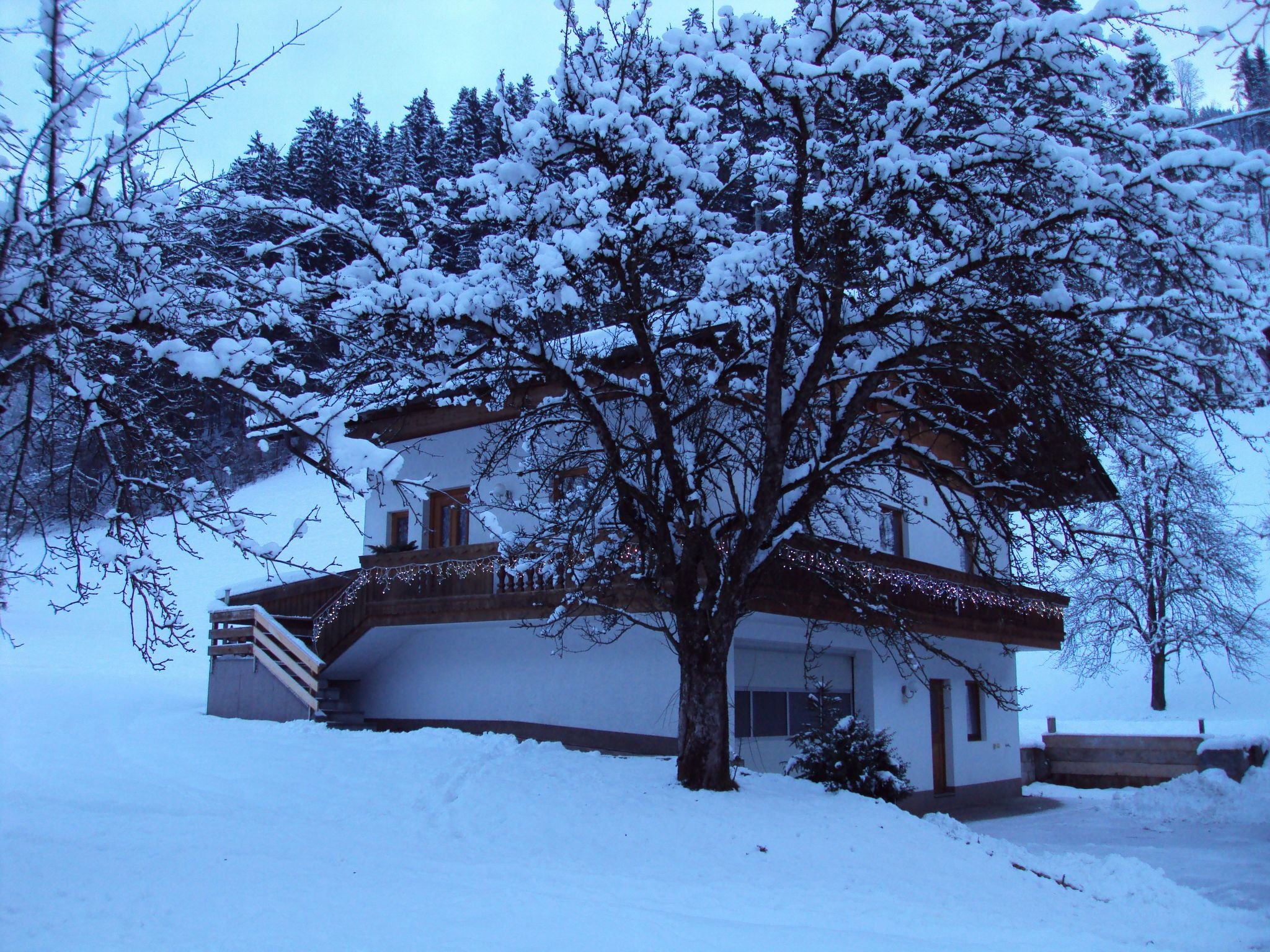 Appartement Haus der Natur