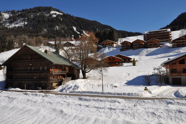 Appartement Perce Neige PNB23 NATURE & FAMILY 4 pers. - Châtel