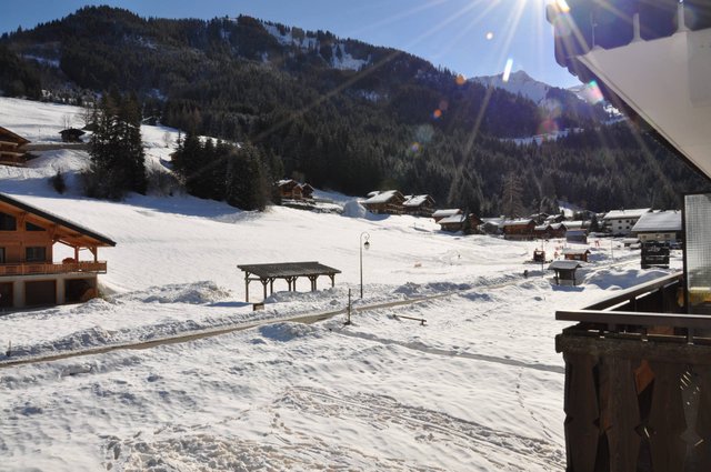 Appartement Perce Neige PNB23 NATURE & FAMILY 4 pers. - Châtel
