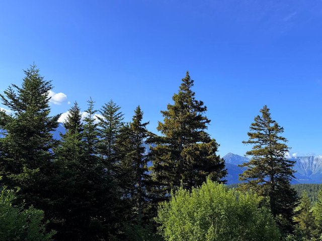 Résidence VIL.BACHAT AROLLES - Chamrousse