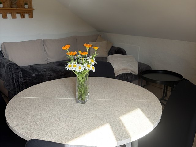 Appartement 3 pièces 4 personnes avec terrasse - Les Carroz d'Araches