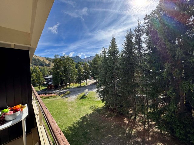 Résidence LES ECRINS 3 - Vars