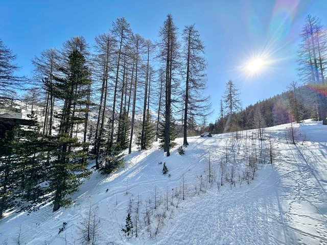 Résidence LE FOREST - Vars