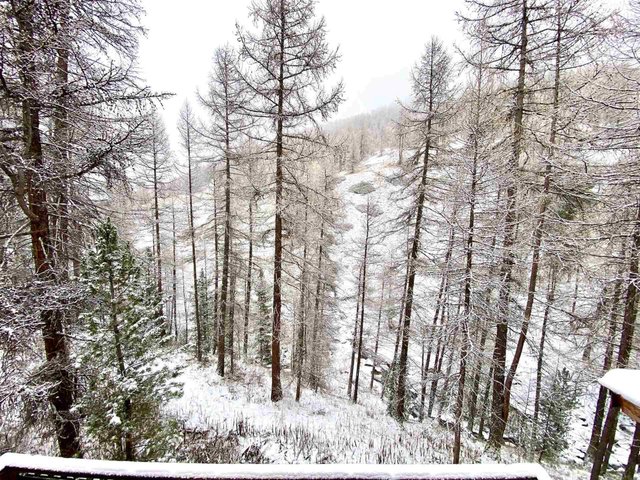 Chalet LE FLOCON II - Vars