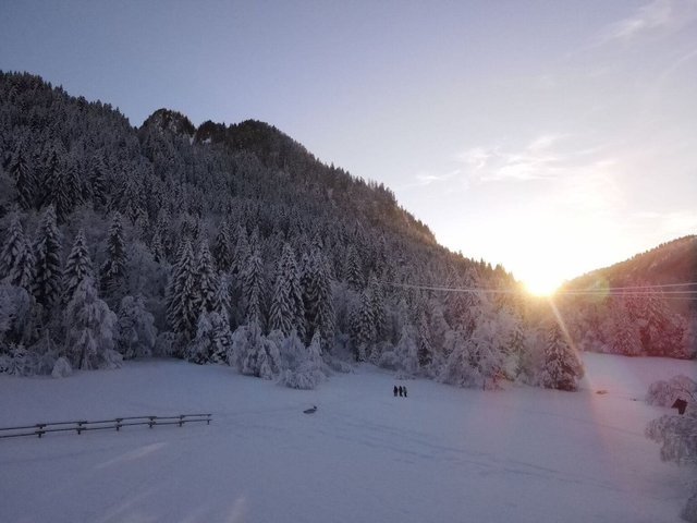 Résidence Les Myrtilles - Châtel