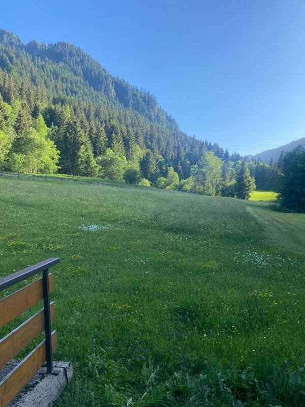 Résidence Les Myrtilles - Châtel