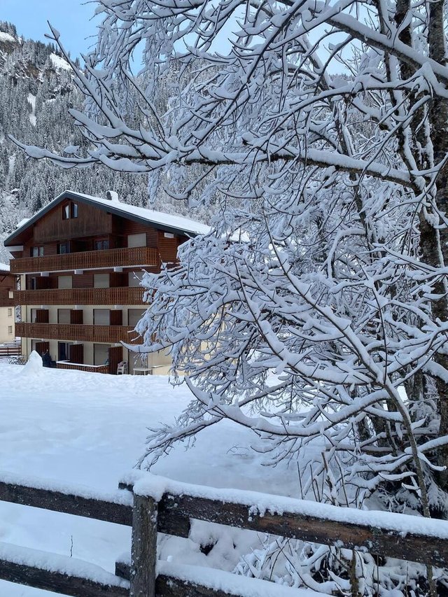 Résidence Les Myrtilles - Châtel