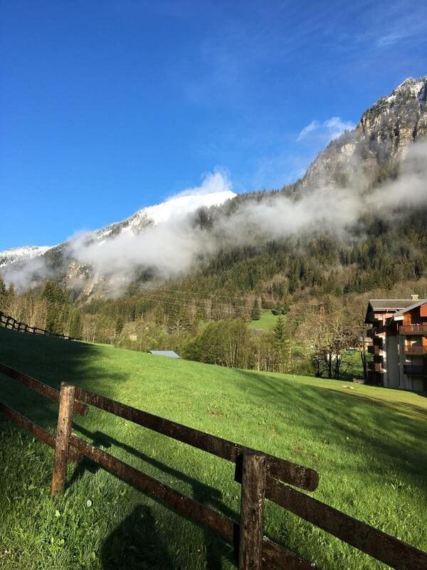 Résidence Les Myrtilles - Châtel