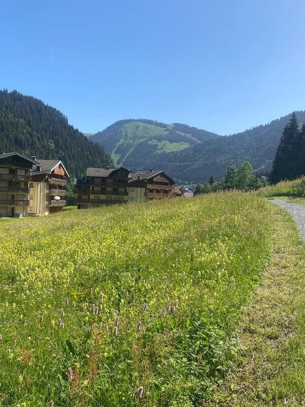 Résidence Les Myrtilles - Châtel