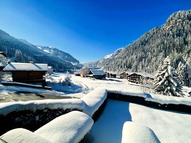 Chalet de L'Oy - Châtel