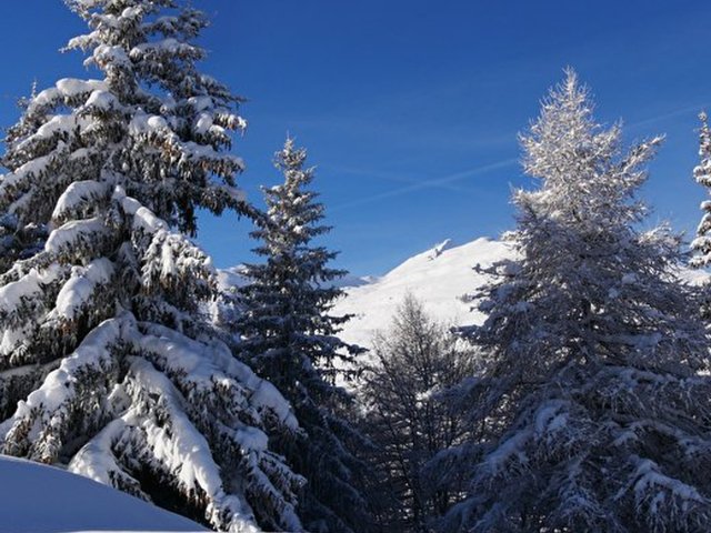 Résidence LE CREY DU QUART - Valloire