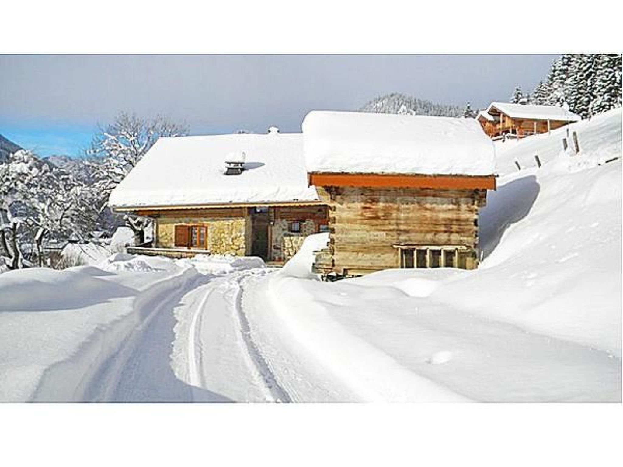 Appartement Chalet Petit Châtel