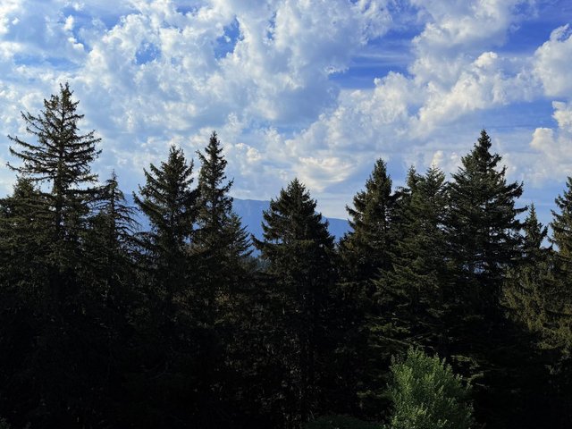 Résidence VIL. BACHAT MELEZES - Chamrousse