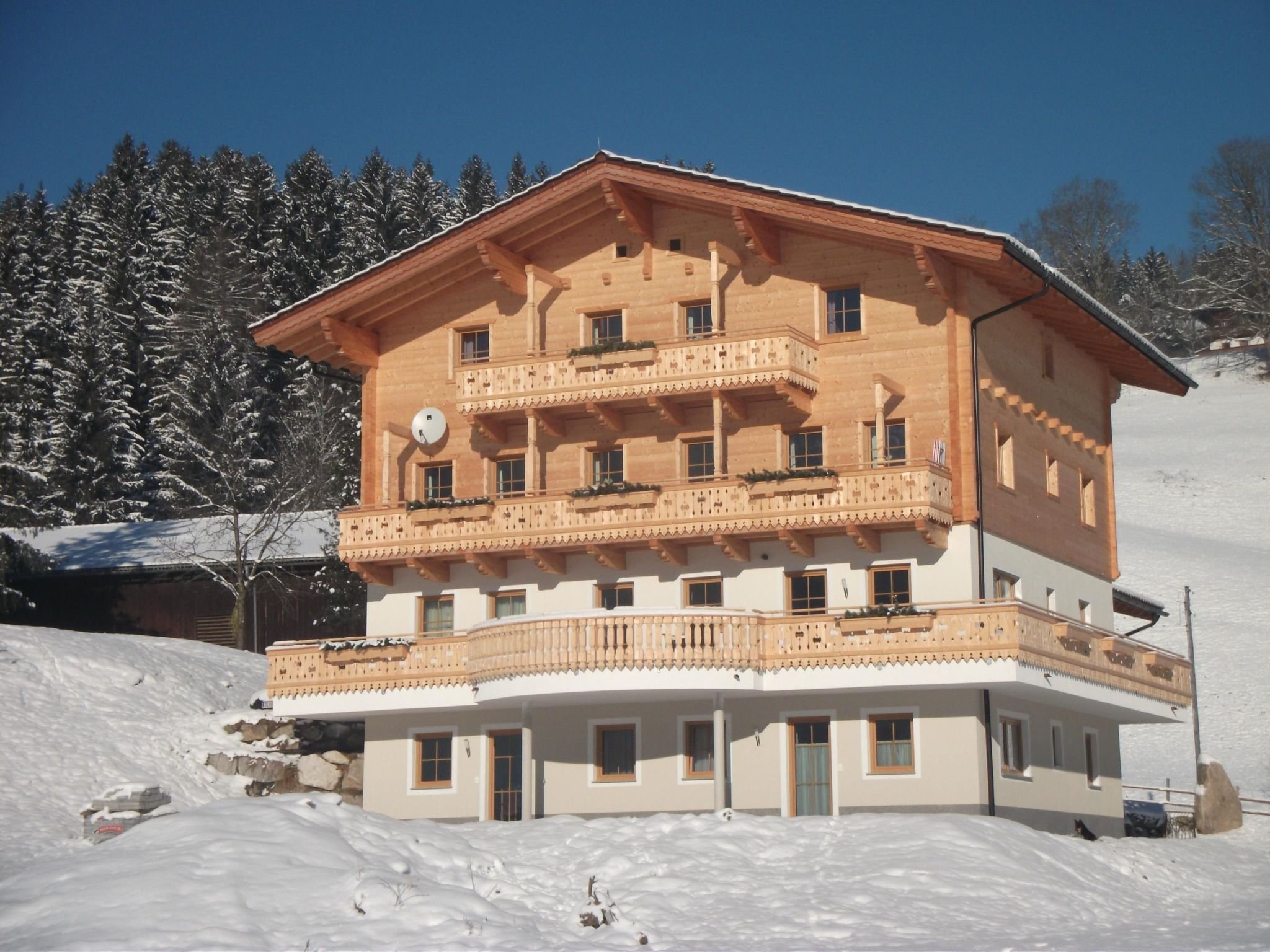 Appartement Sonnblick in Hollersbach im Pinzgau