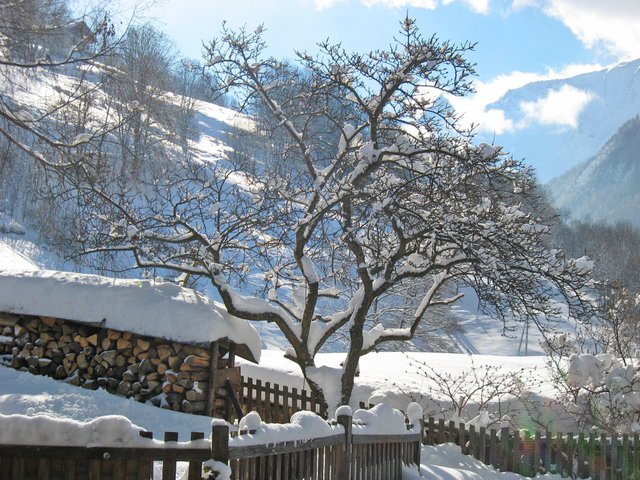 Appartement Chalet de Claude - Peisey-Nancroix