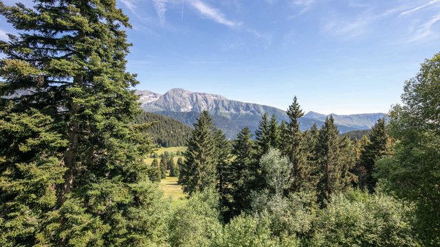 Appartement V du Bachat Sorbiers E N°21 - 3P6 - Chamrousse