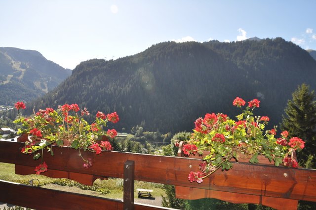 Résidence Les Biches - Châtel