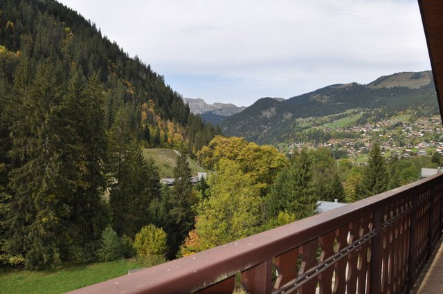 Résidence Fuchsia - Châtel