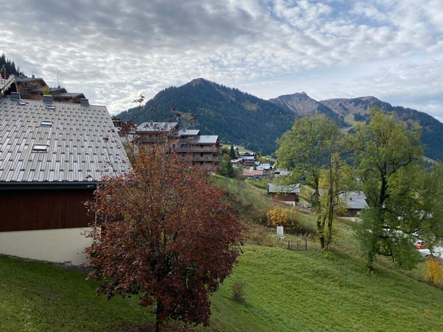 Résidence Les Gentianes - Châtel