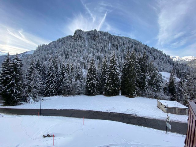 Résidence Fuchsia - Châtel